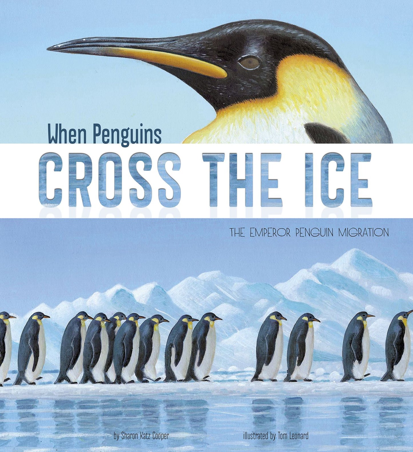 When Penguins Cross the Ice : The Emperor Penguin Migration