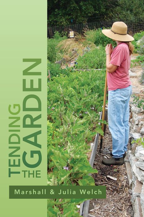 Tending the Garden: A Guide To Spiritual Formation and Community Gardens
