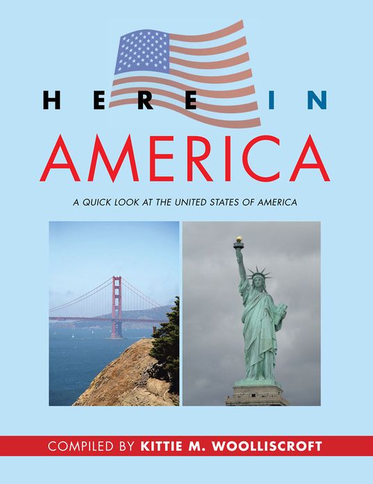 Here In America (PagePerfect NOOK Book)