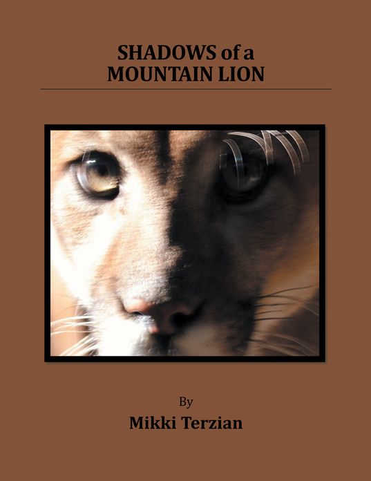 Shadows of a Mountain Lion