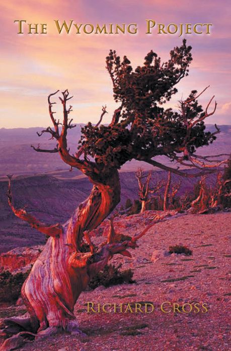 The Wyoming Project