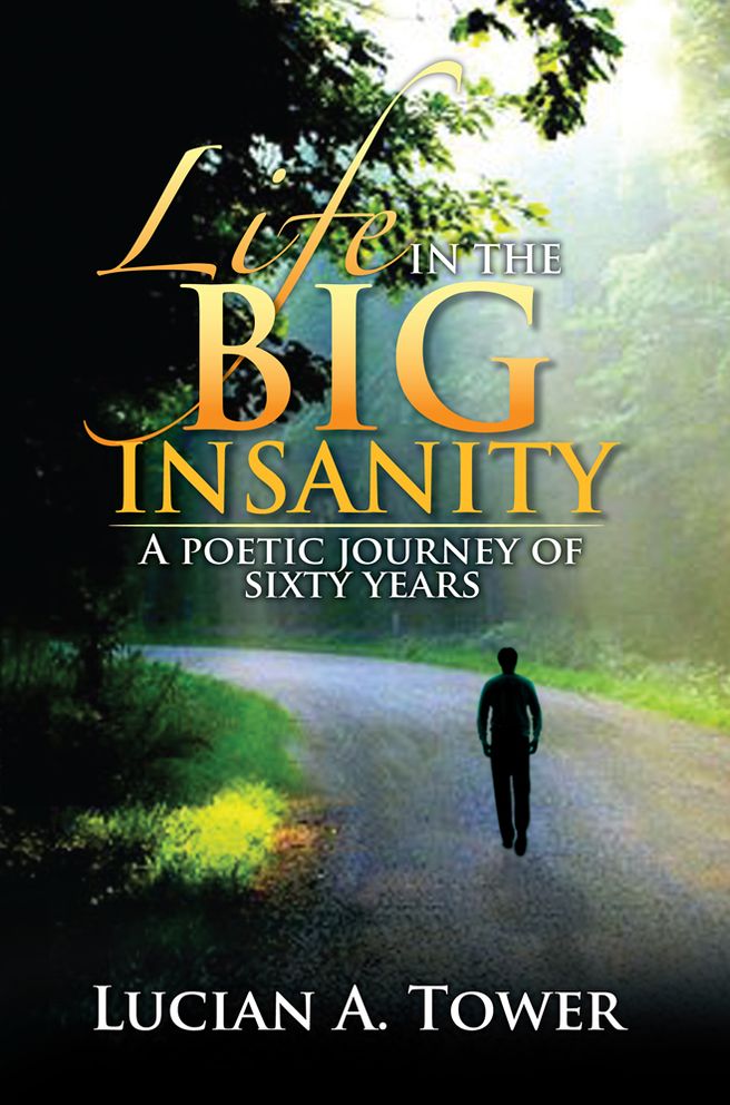 LIFE IN THE BIG INSANITY: A poetic journey of sixty years