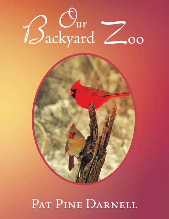 Our Backyard Zoo