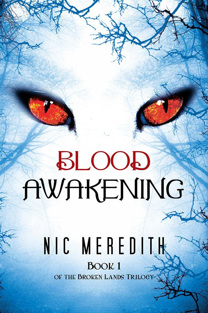 Blood Awakening: Book 1 of the Broken Lands Trilogy