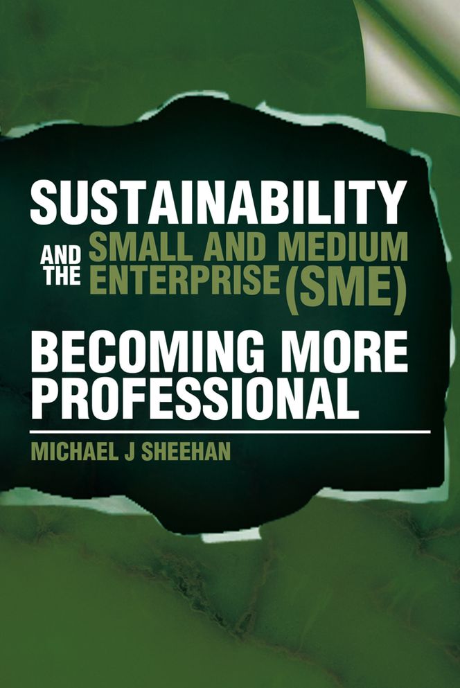 Sustainability And The Small And Medium Enterprise (SME): Becoming More Professional