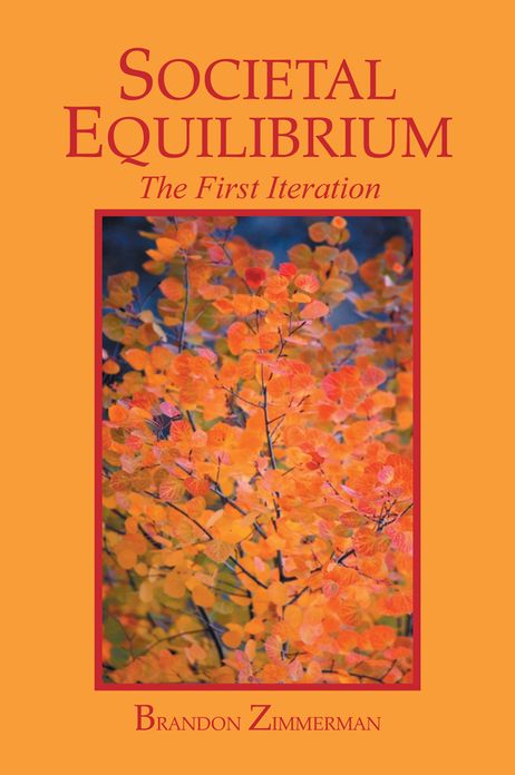 Societal Equilibrium: The First Iteration