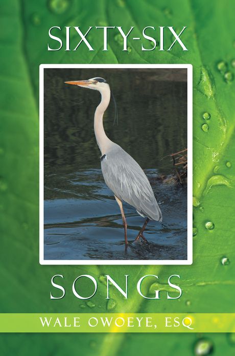 Sixty-Six Songs