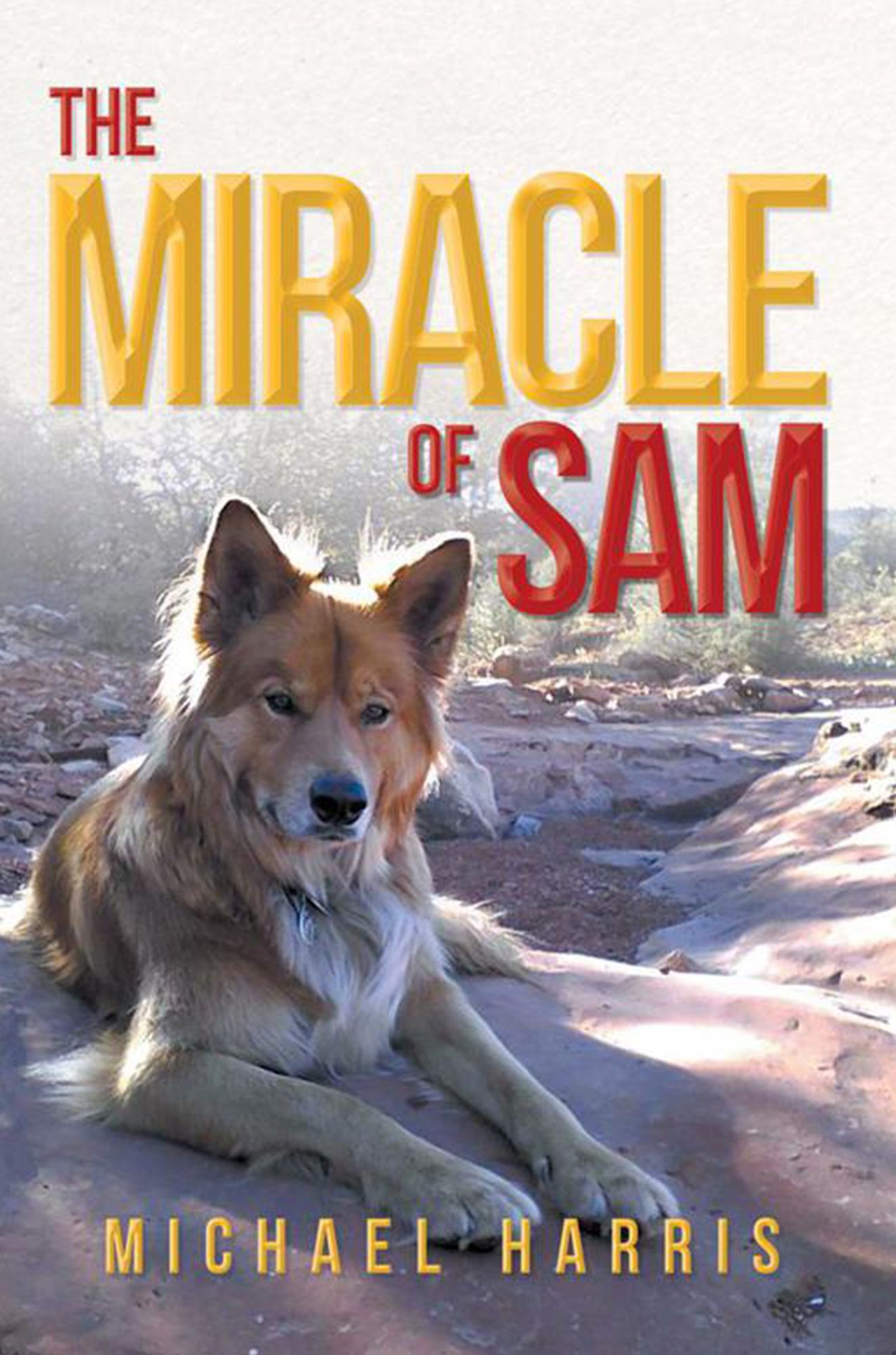 The Miracle of Sam