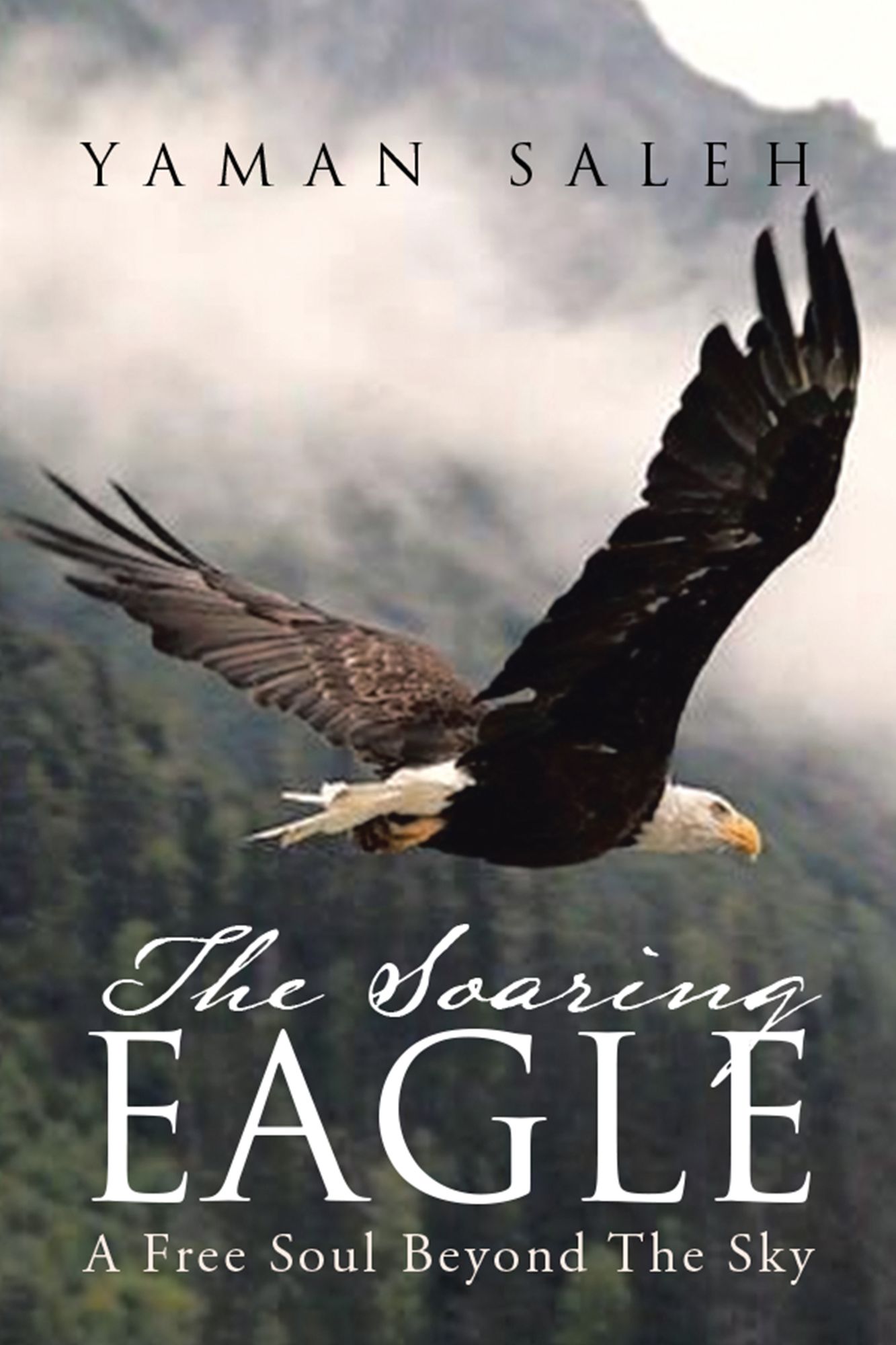 The Soaring Eagle: A Free Soul Beyond the Sky