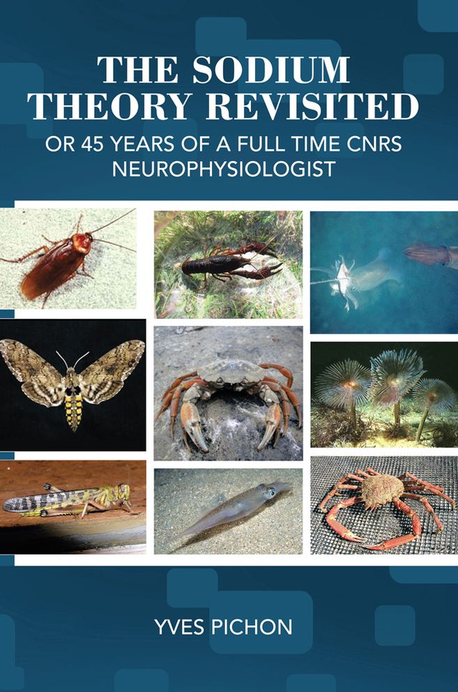 The sodium theory revisited: Or 45 years of a full time CNRS neurophysiologist
