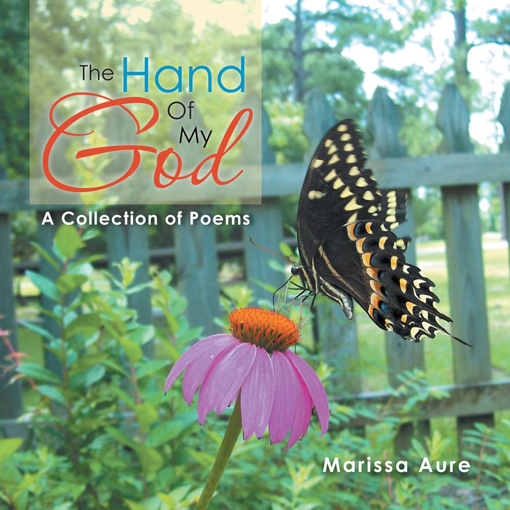 The Hand of My God: A Collection of Poems (PagePerfect NOOK Book)