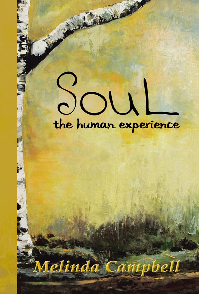 SouL: The human experience