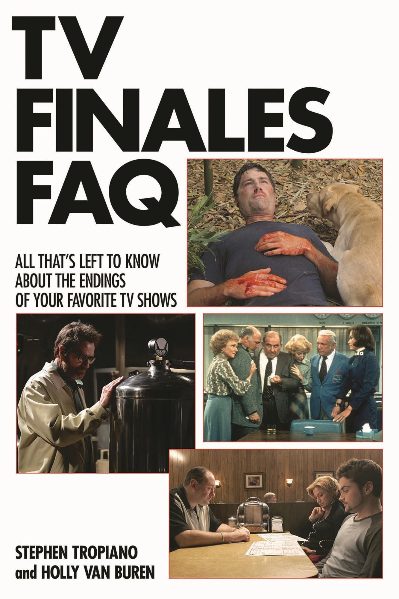 TV Series Finales FAQ