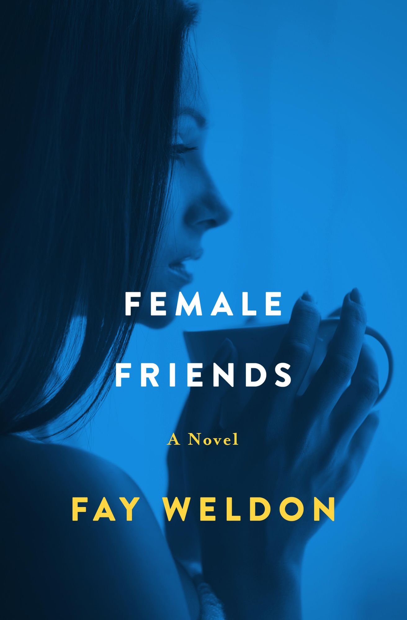 Female Friends: A Novel