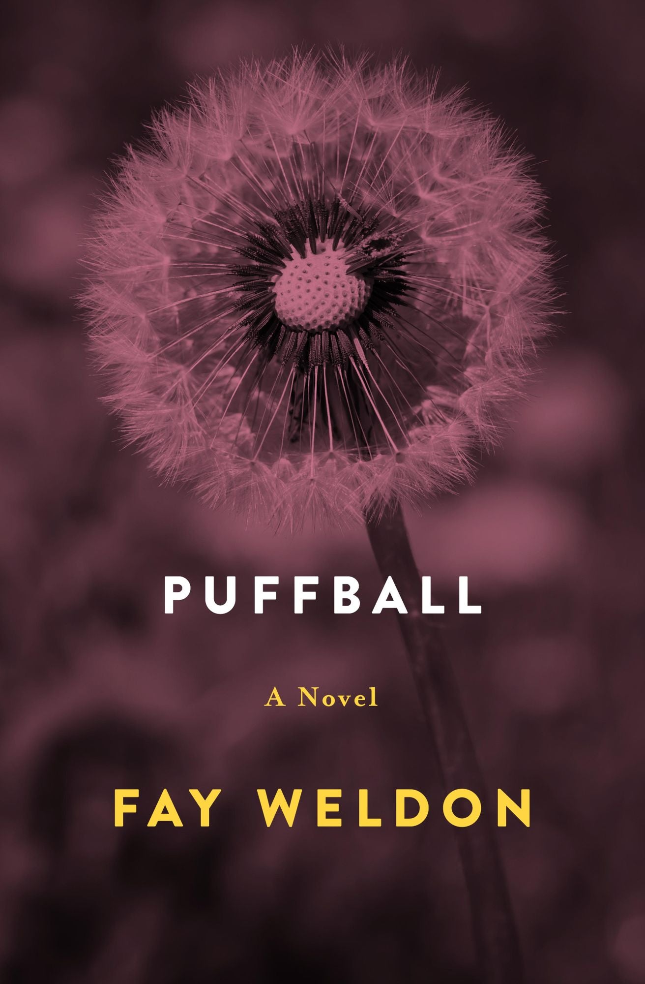 Puffball: A Novel