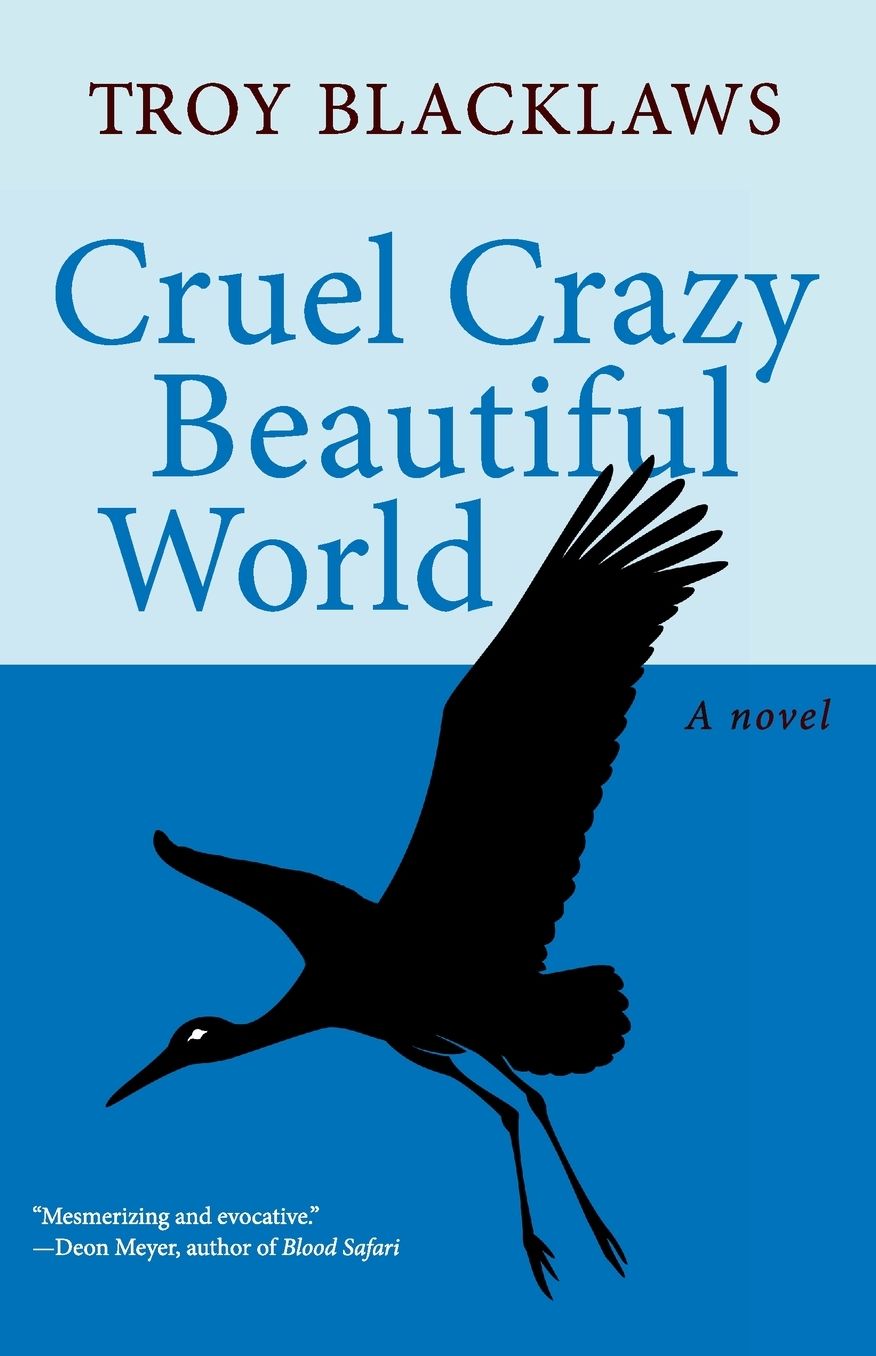 Cruel Crazy Beautiful World: A novel