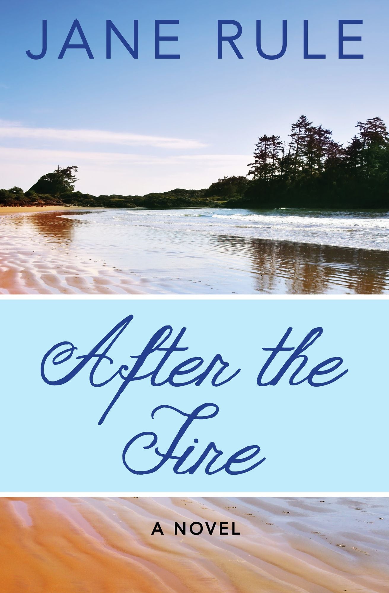 After the Fire: A Novel