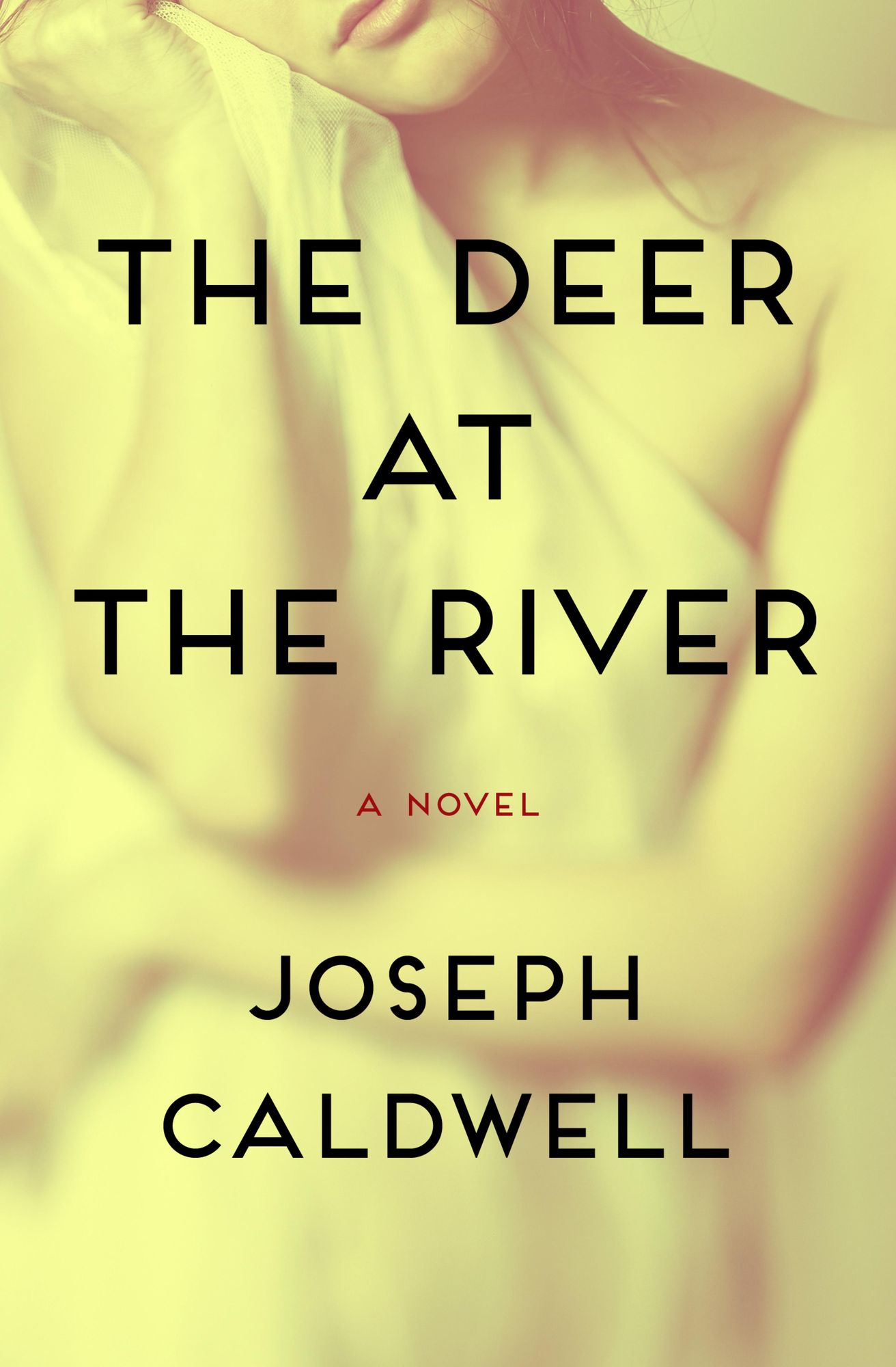 The Deer at the River: A Novel