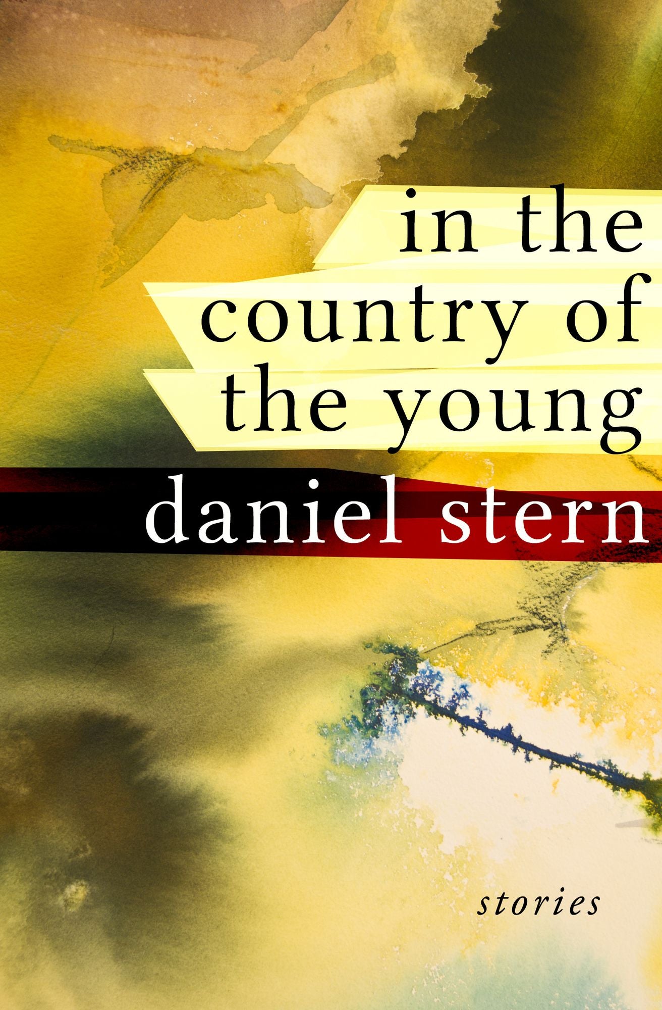 In the Country of the Young: Stories