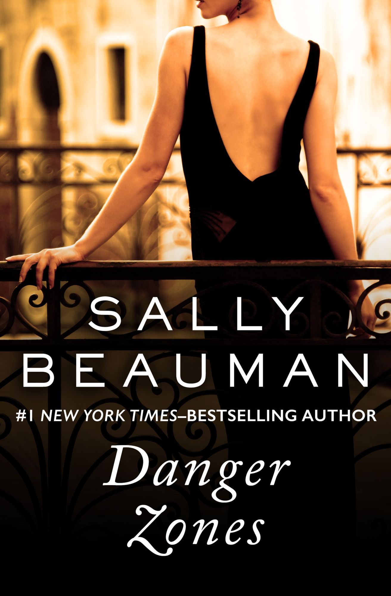 Danger Zones: A Novel