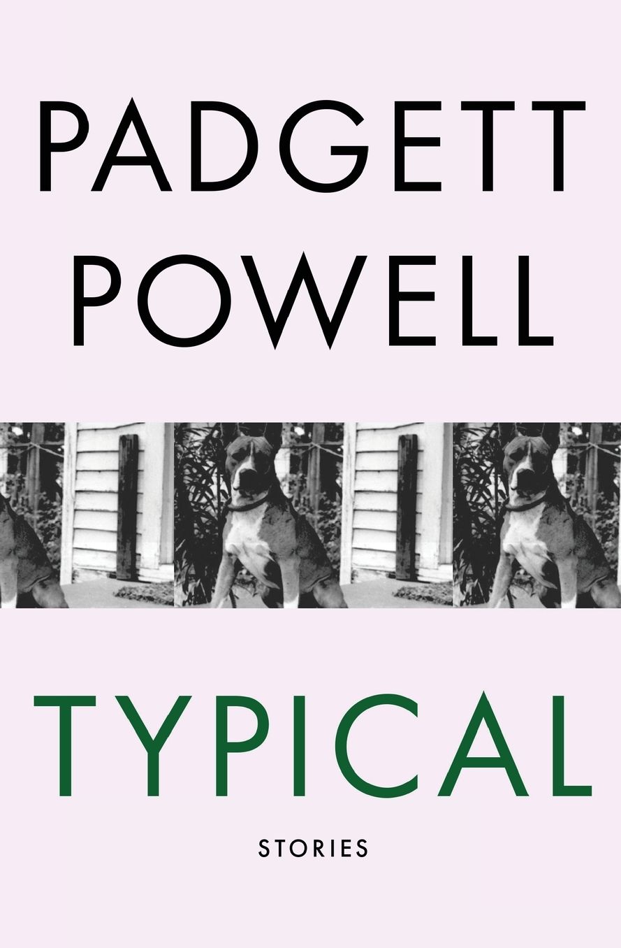 Typical: Stories