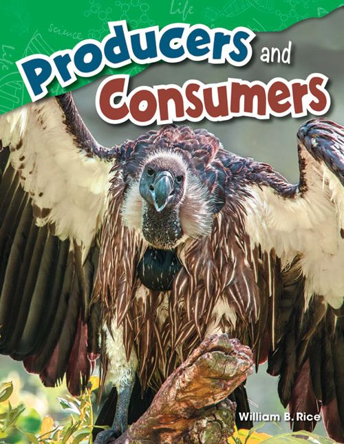 Producers and Consumers (Grade 4)