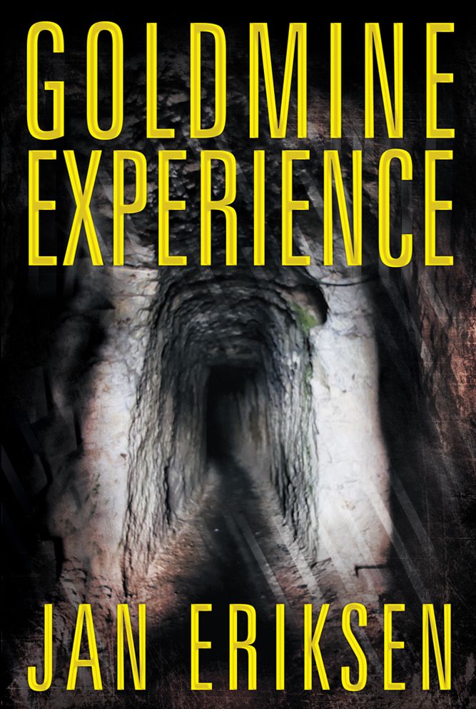 Goldmine Experience