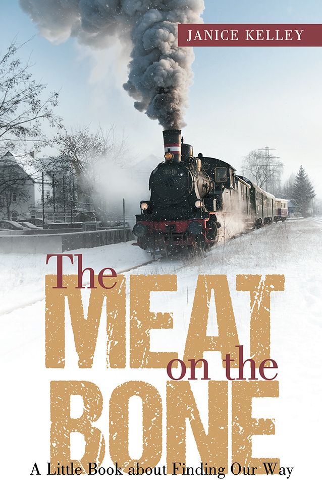 The Meat on the Bone: A Little Book about Finding Our Way