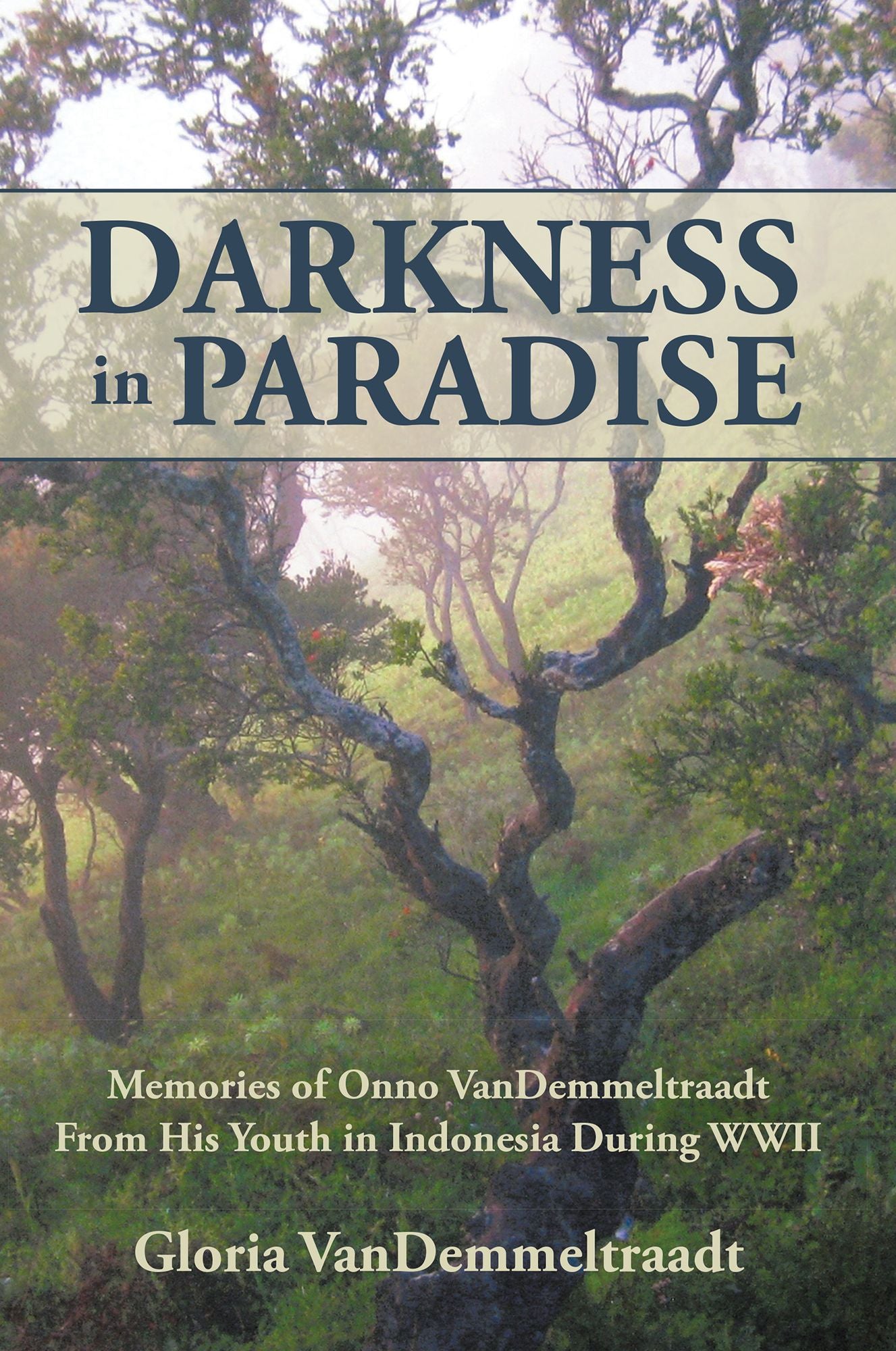 Darkness in Paradise: Memories of Onno VanDemmeltraadt from His Youth in Indonesia during WWII