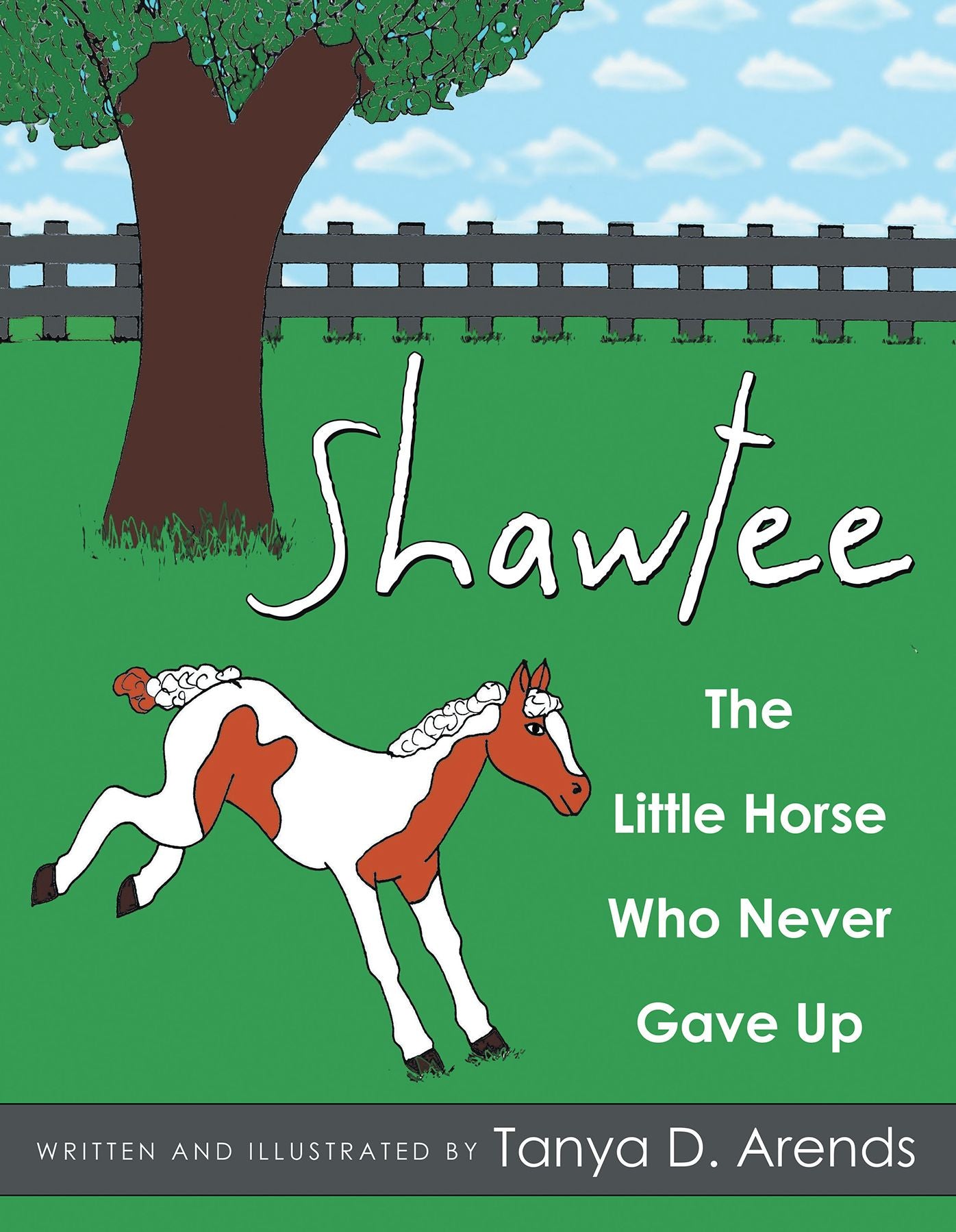 Shawtee: The Little Horse Who Never Gave Up (PagePerfect NOOK Book)