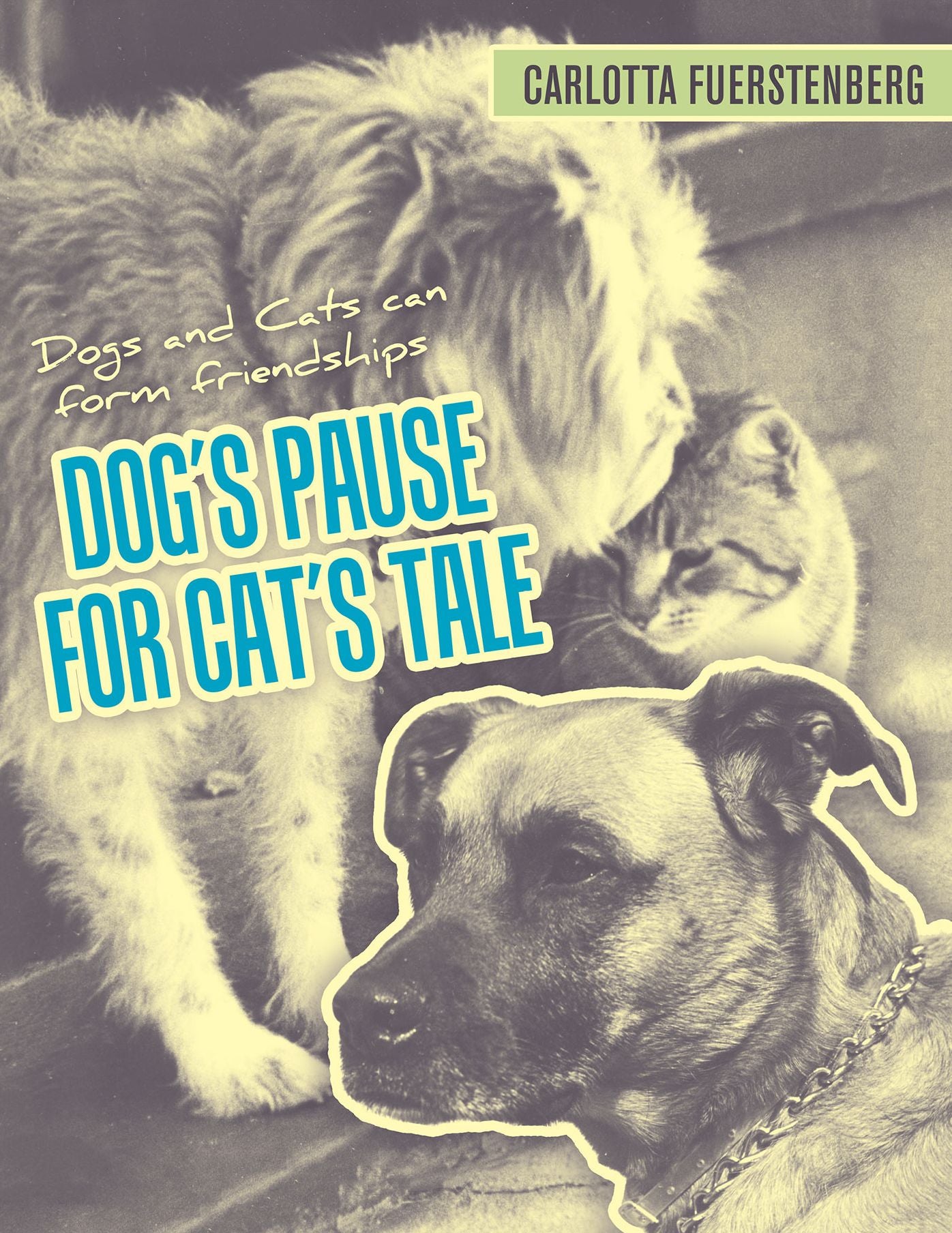 Dog's Pause for Cat's Tale: Dogs and Cats can form friendships (PagePerfect NOOK Book)