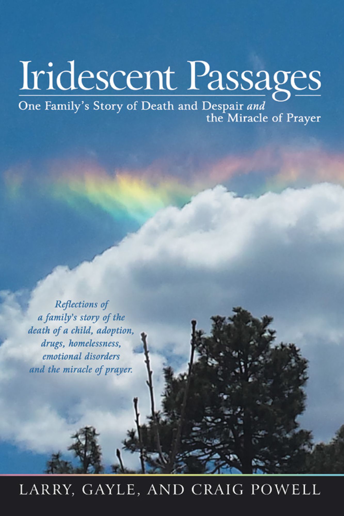 Iridescent Passages: One Familys Story of Death and Despair and the Miracle of Prayer