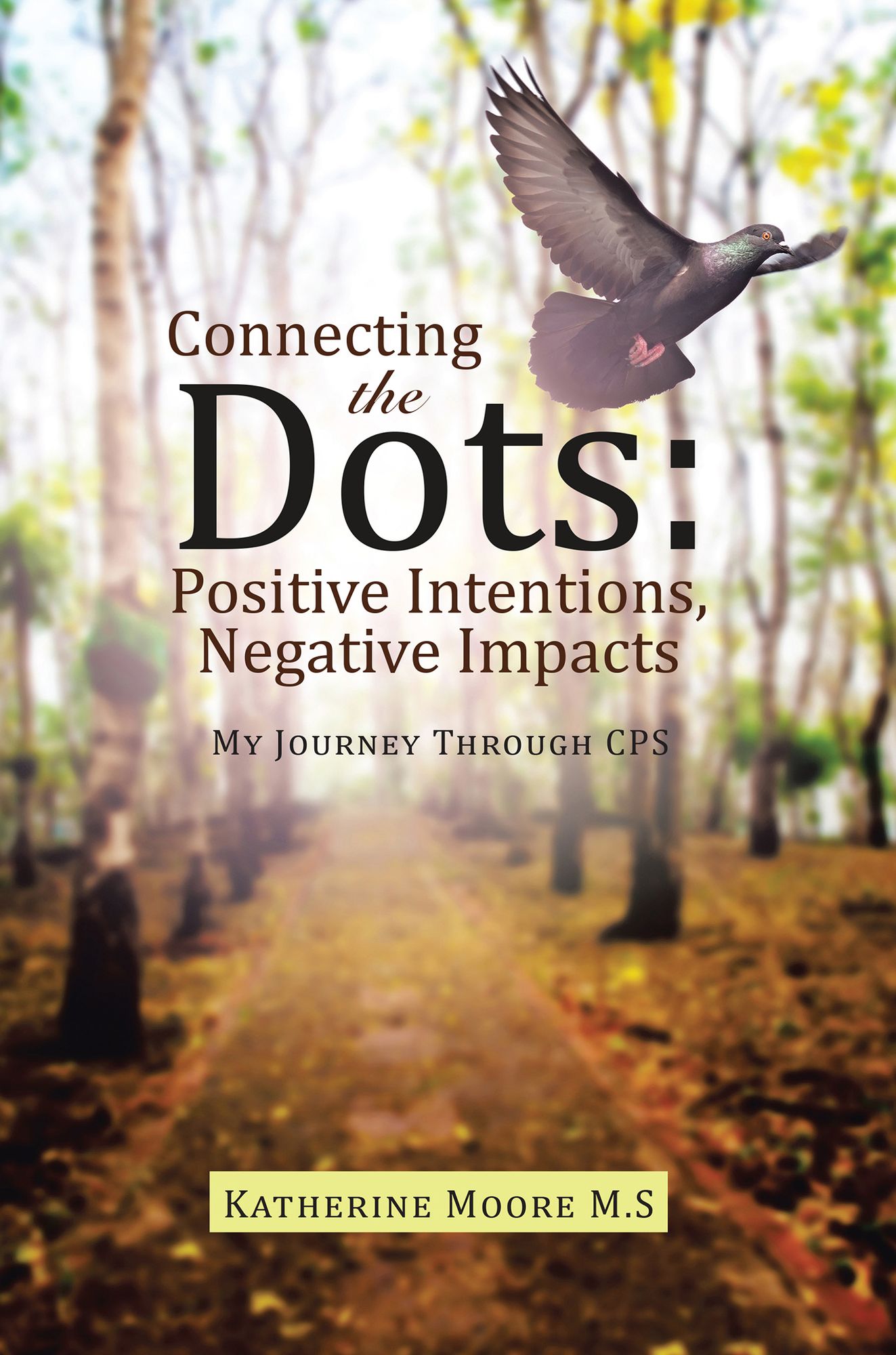 Connecting the Dots: Positive Intentions, Negative Impacts: My Journey Through CPS
