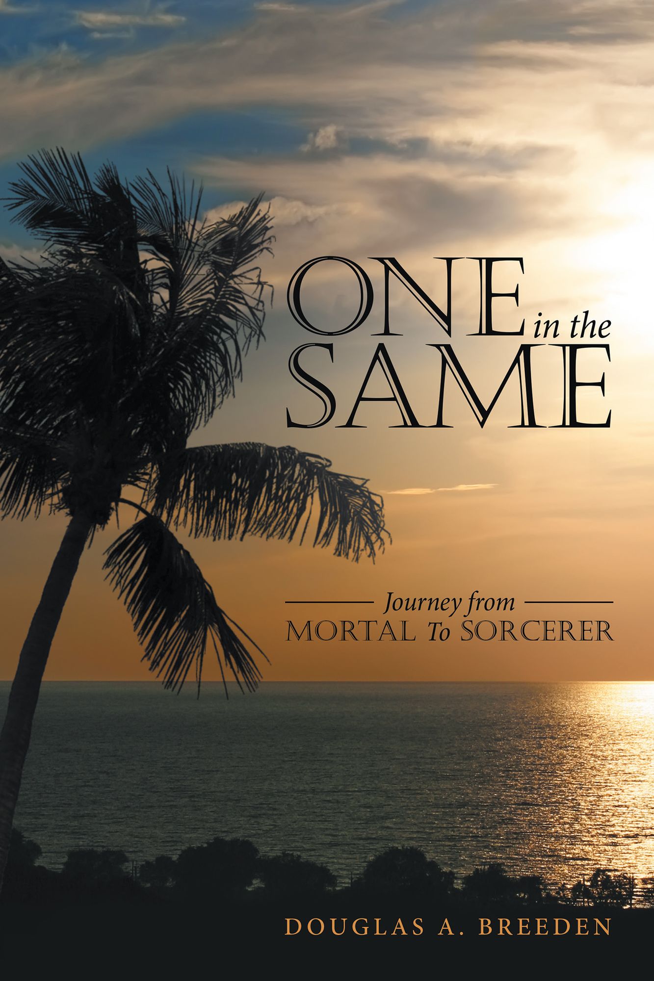 One in the Same: Journey from Mortal to Sorcerer