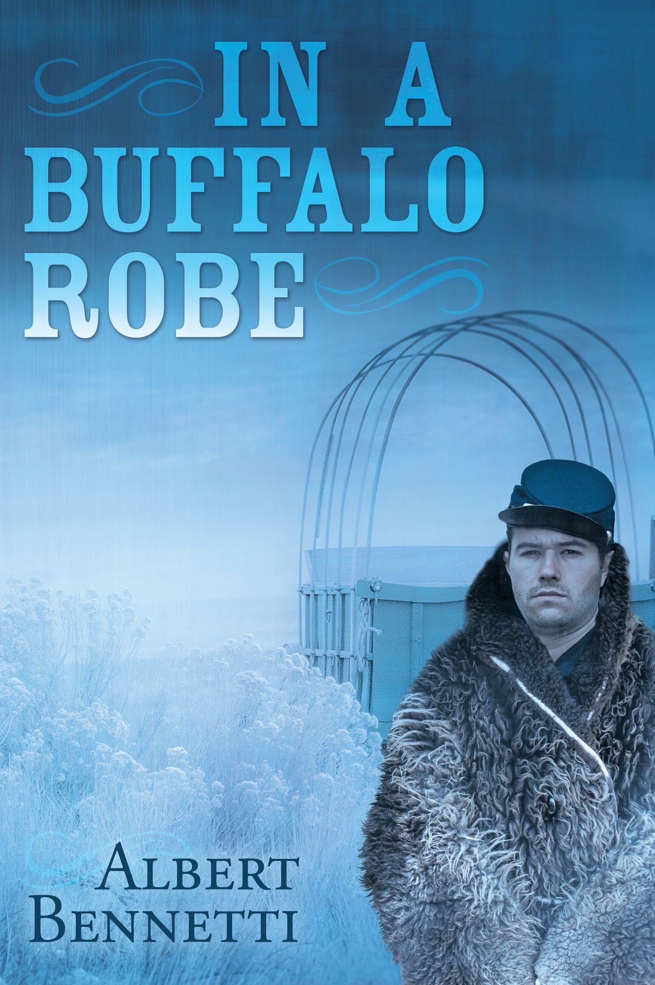 In a Buffalo Robe