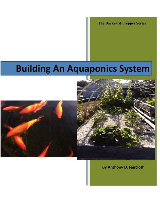 Building An Aquaponics System