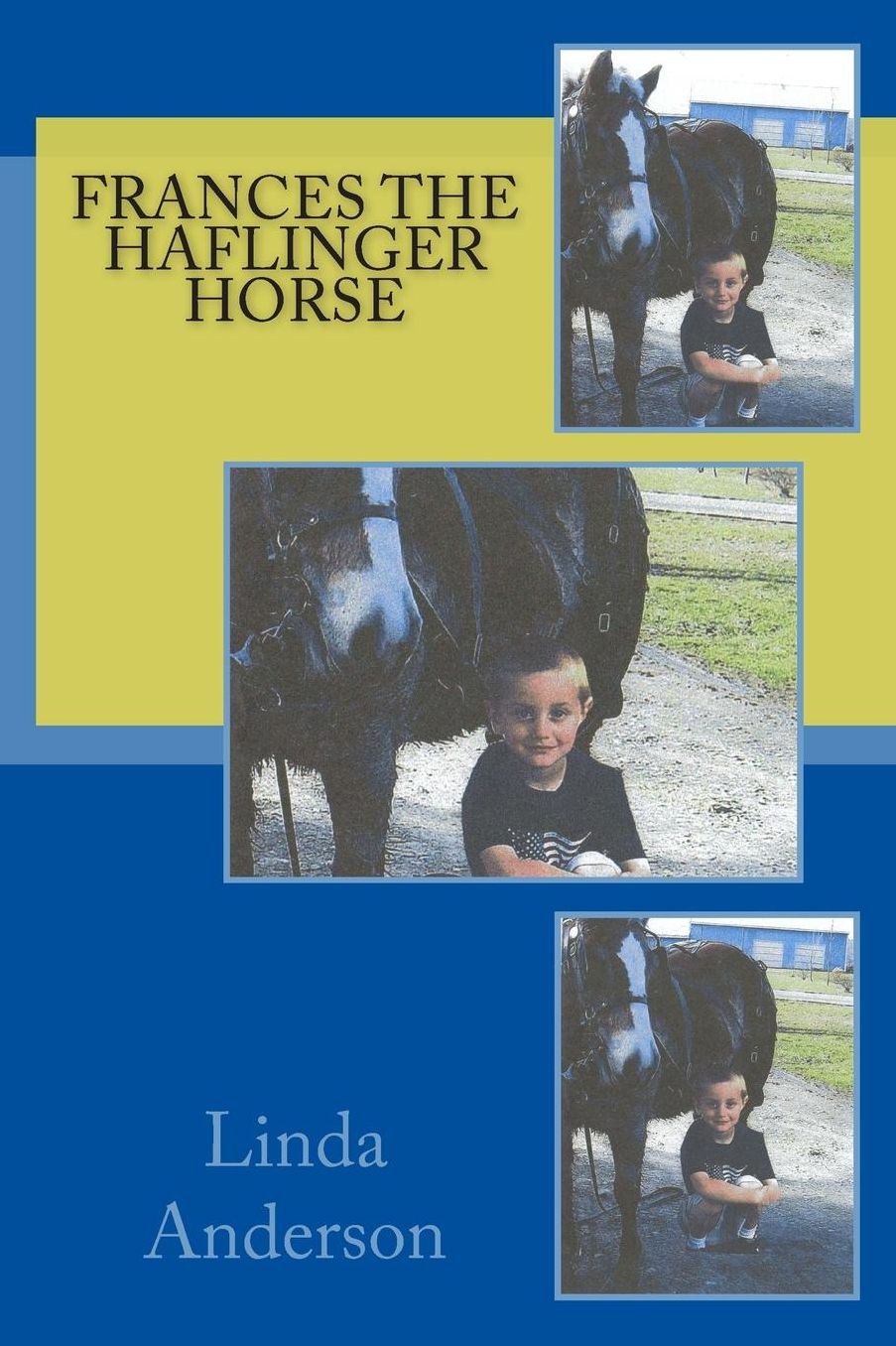 Frances the Haflinger horse