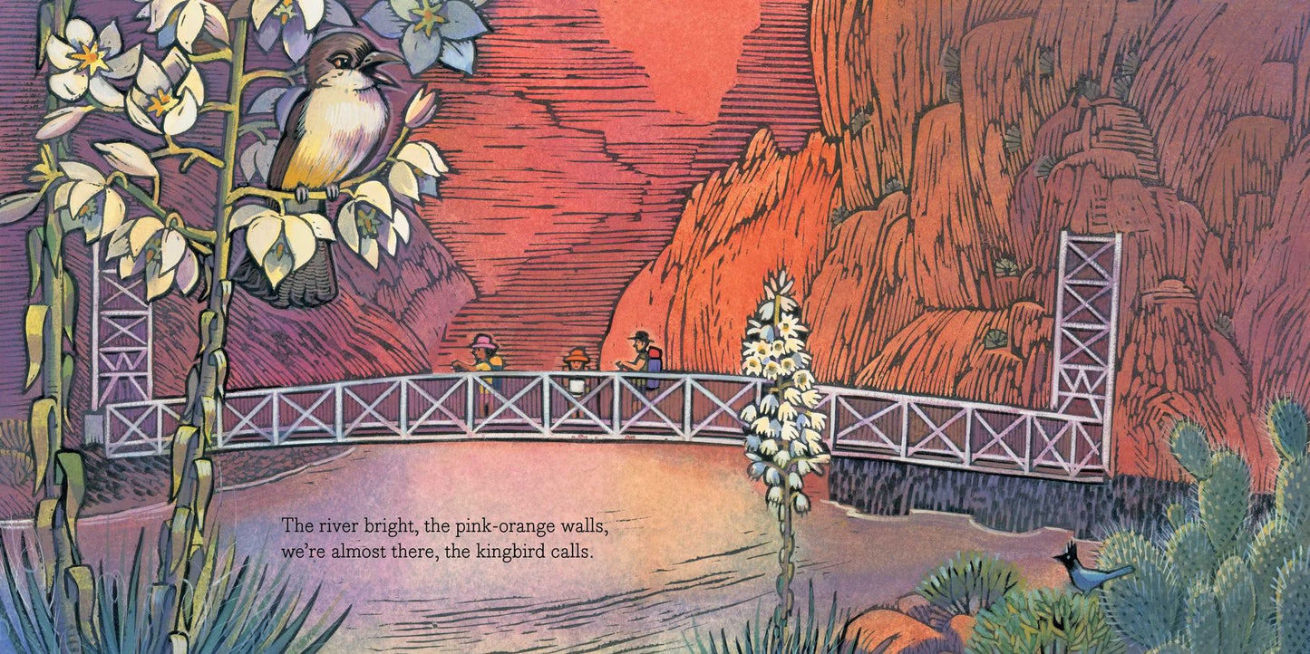 In the Canyon