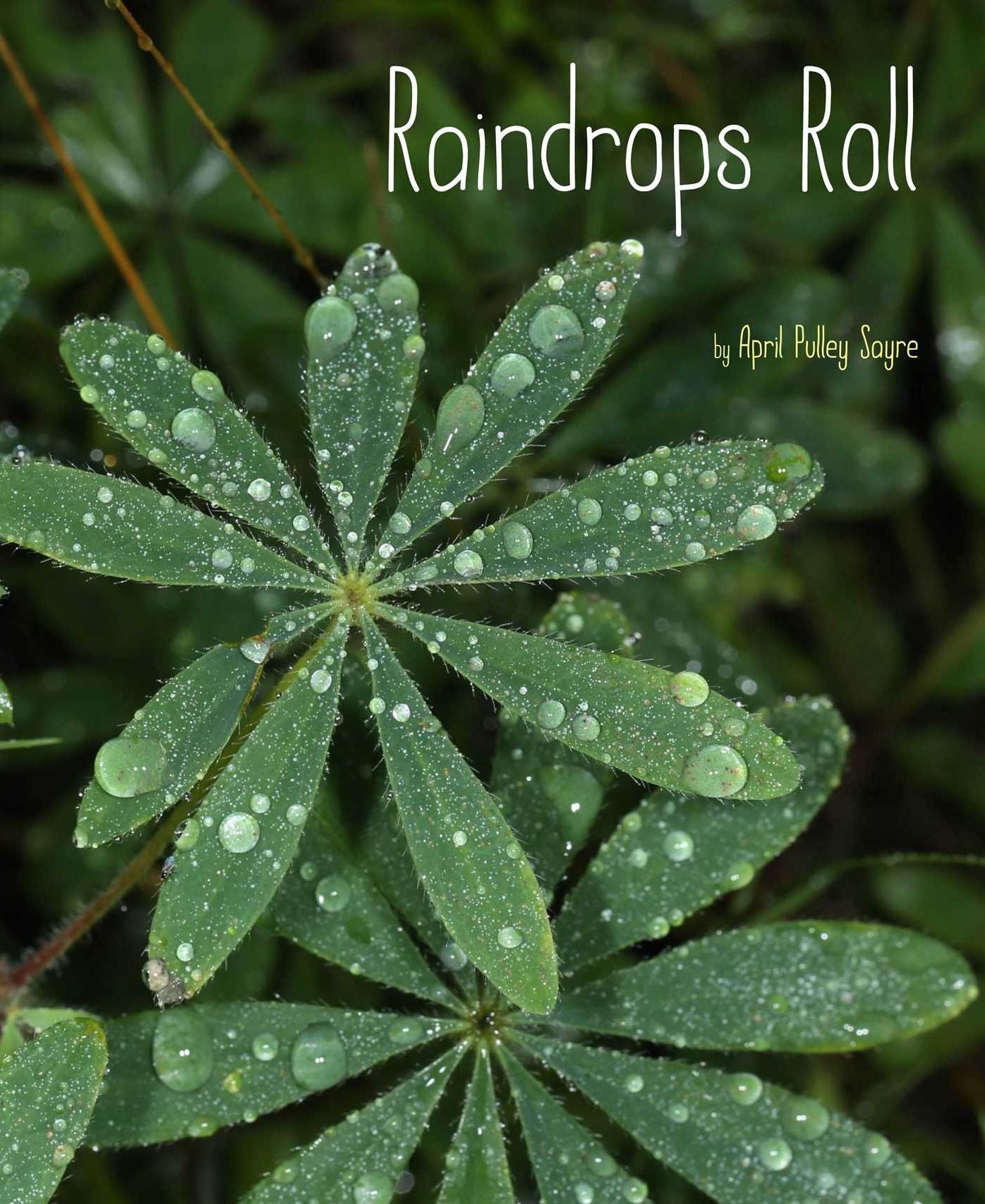Raindrops Roll: With Audio Recording