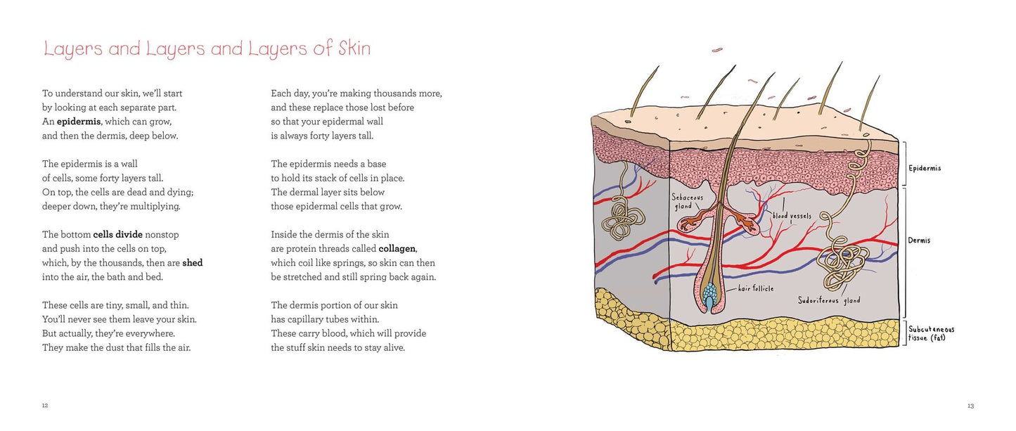 Your Amazing Skin from Outside in