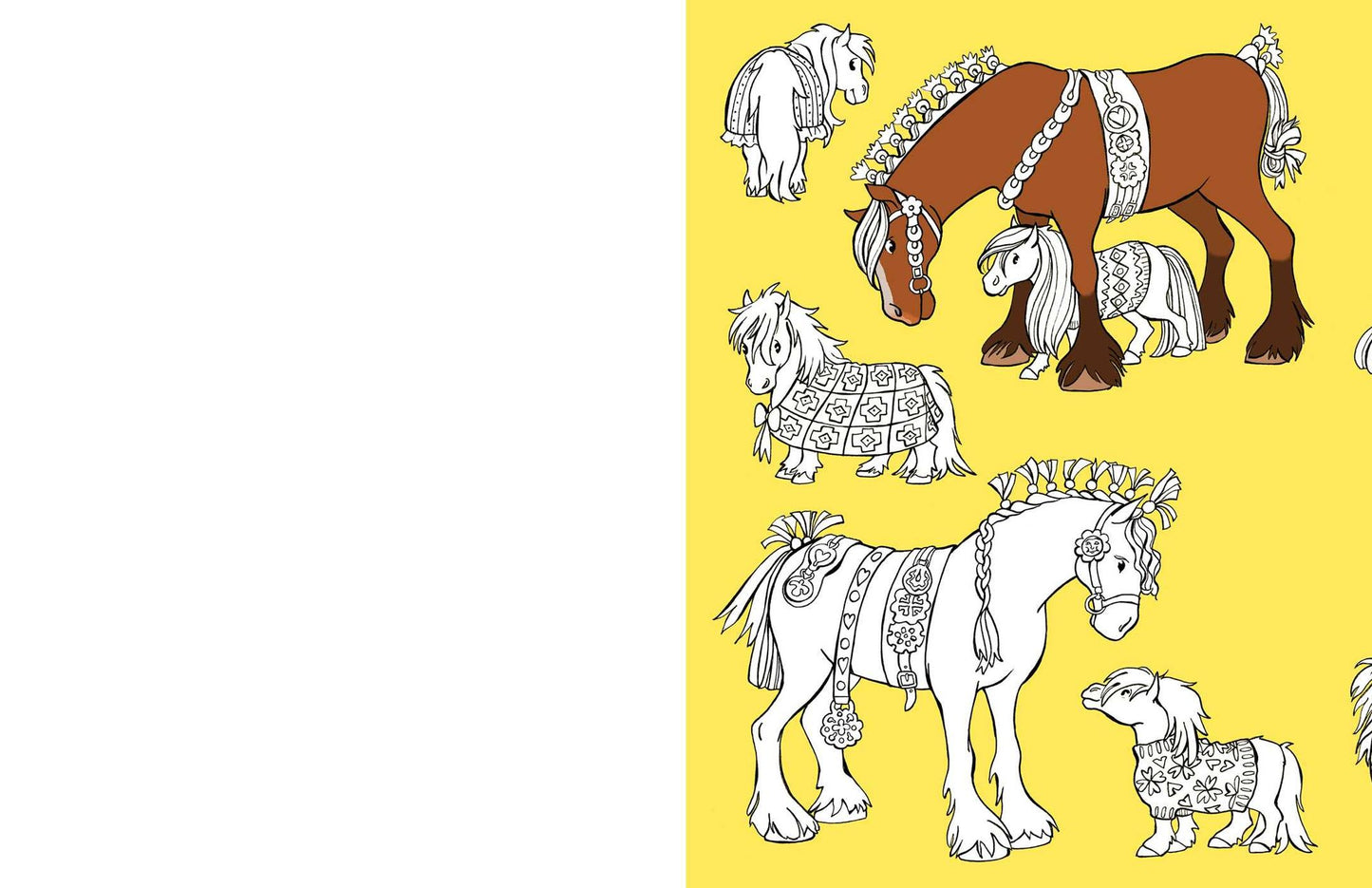 Pretty Ponies: Beautiful Ponies to Color!