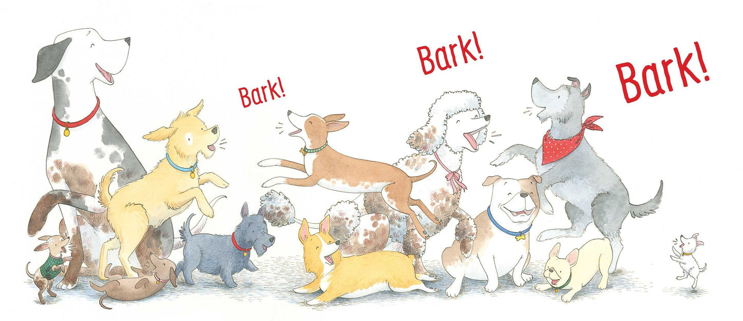 Bark Park!