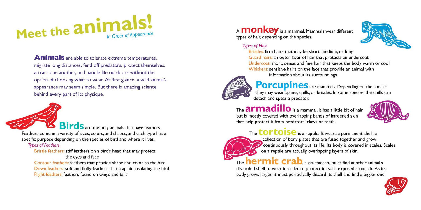 Feathers and Hair, What Animals Wear