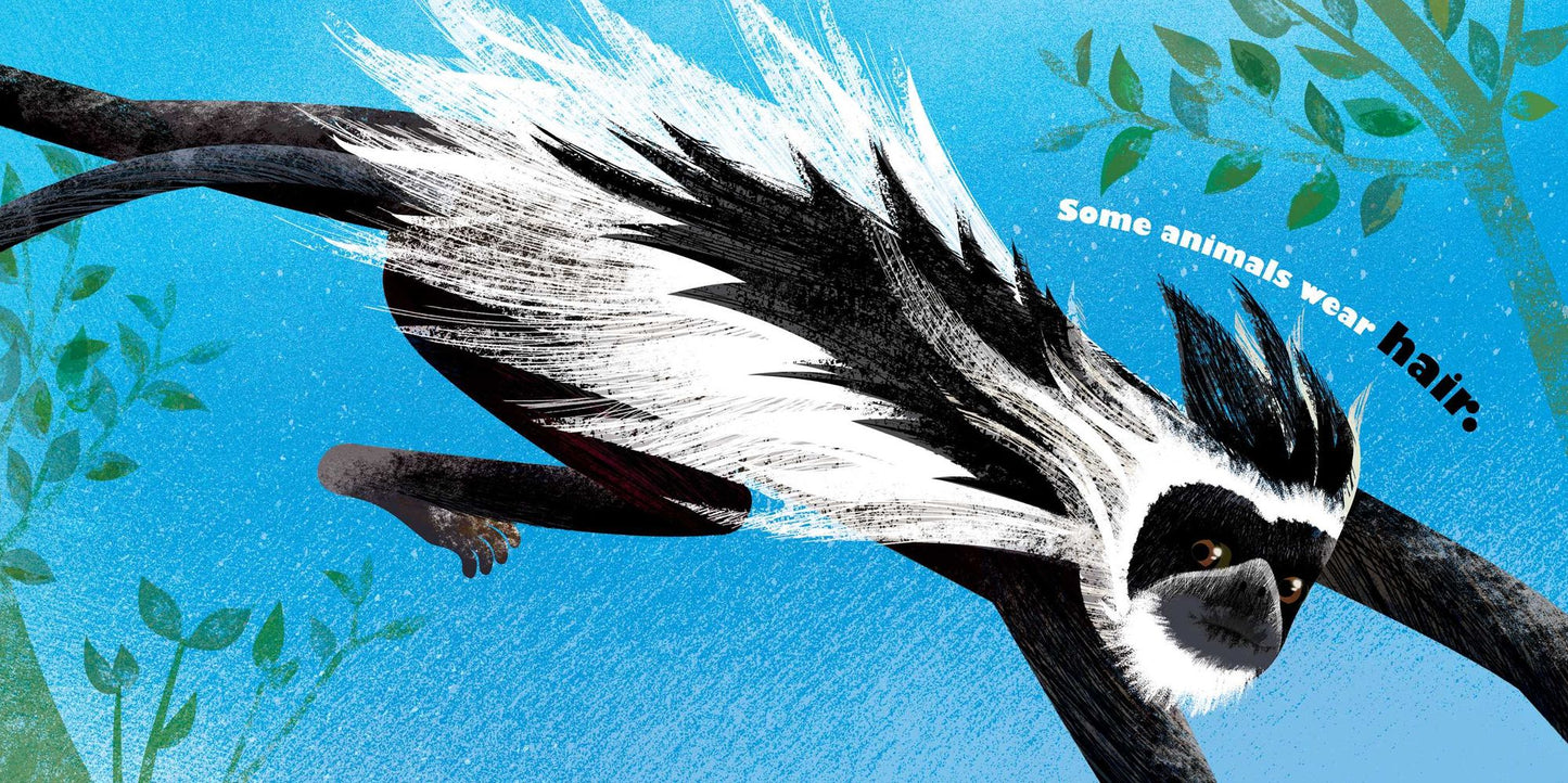 Feathers and Hair, What Animals Wear