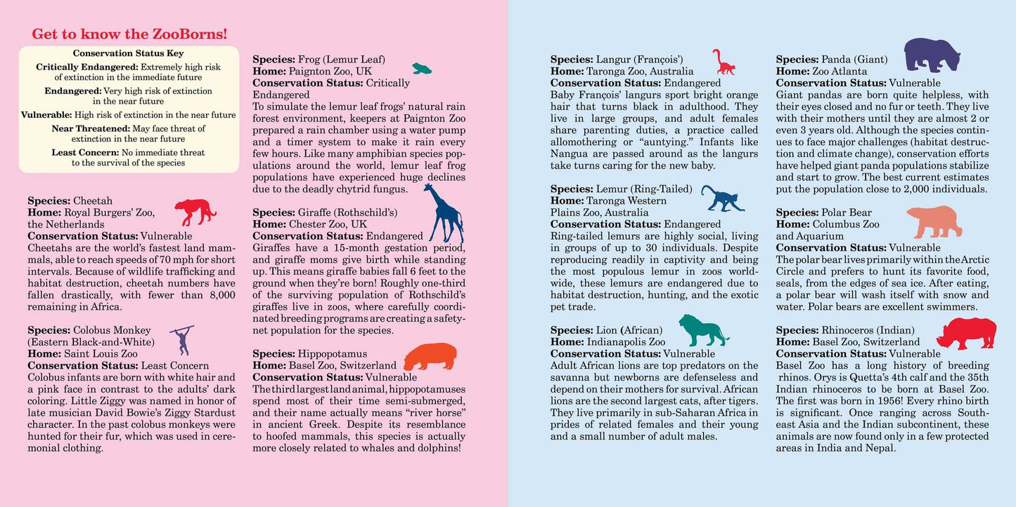 ZigZag ZooBorns!: Zoo Baby Colors and Patterns