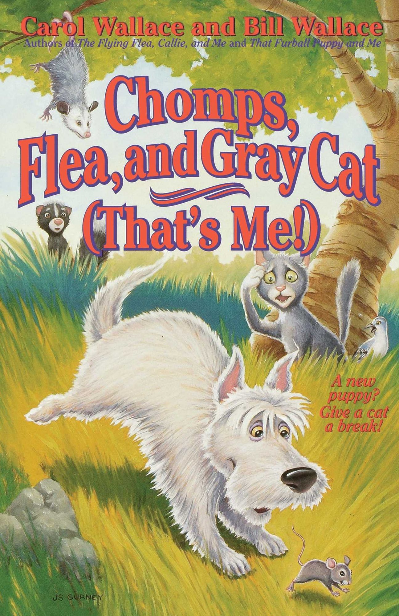 Chomps, Flea, and Gray Cat (That's Me!)