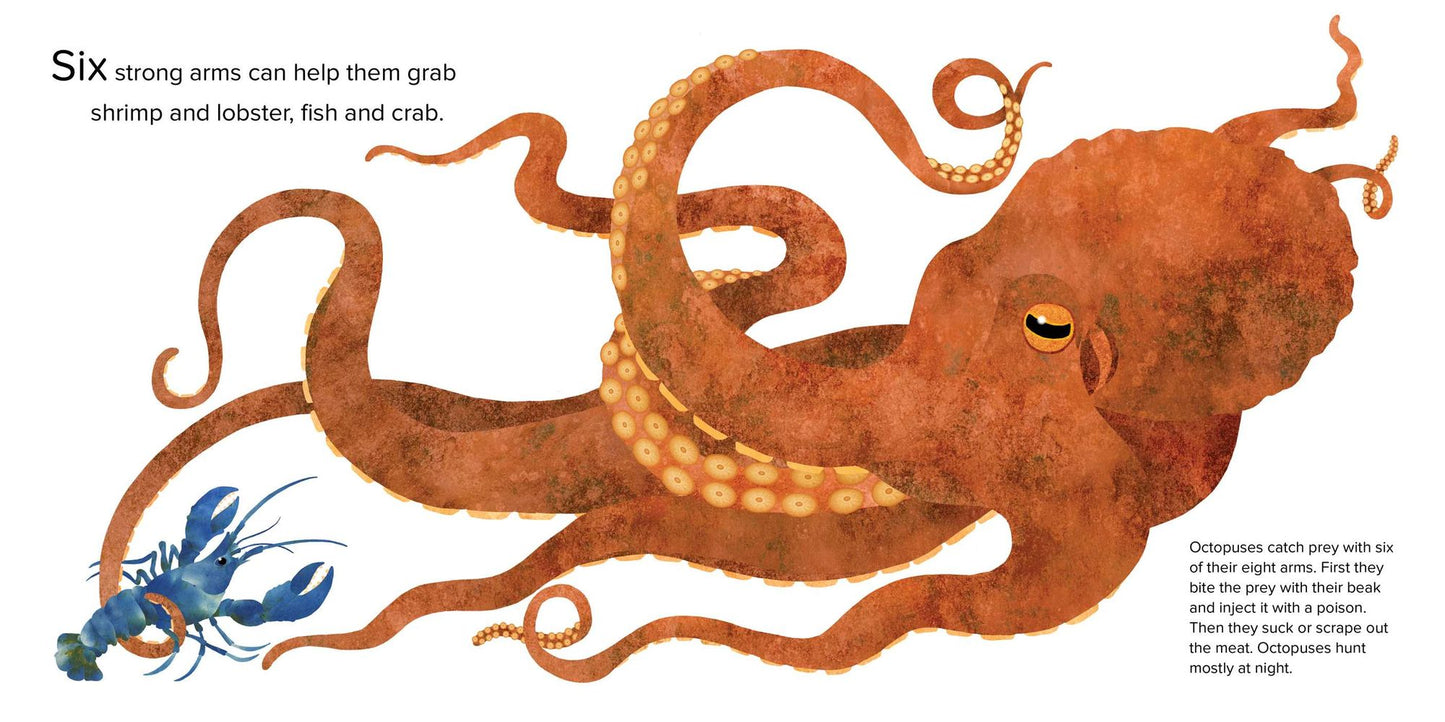 Octopuses One to Ten