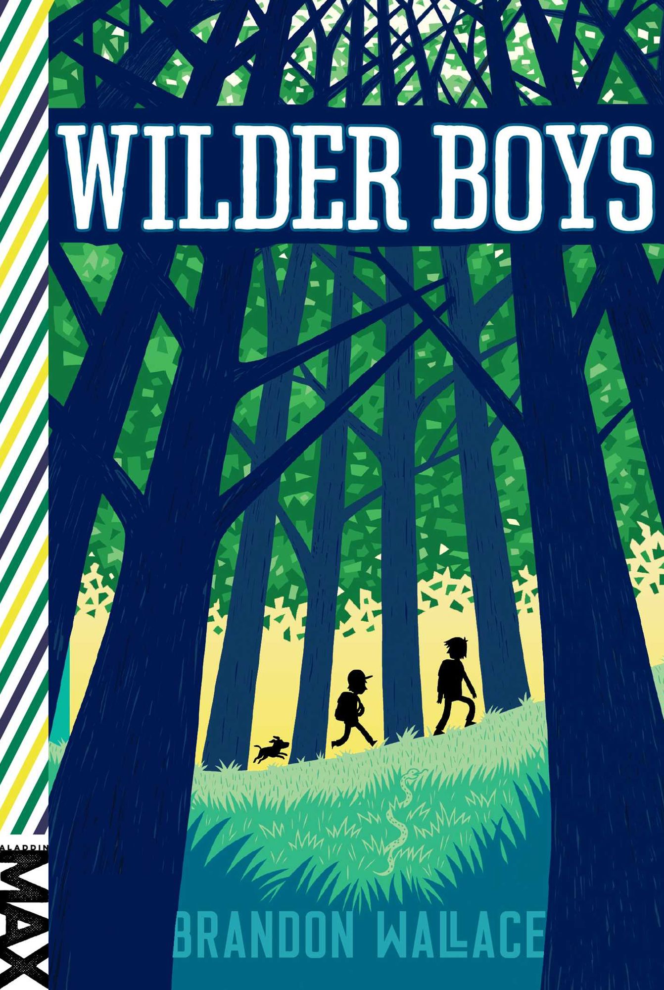 Wilder Boys (Wilder Boys Series #1)