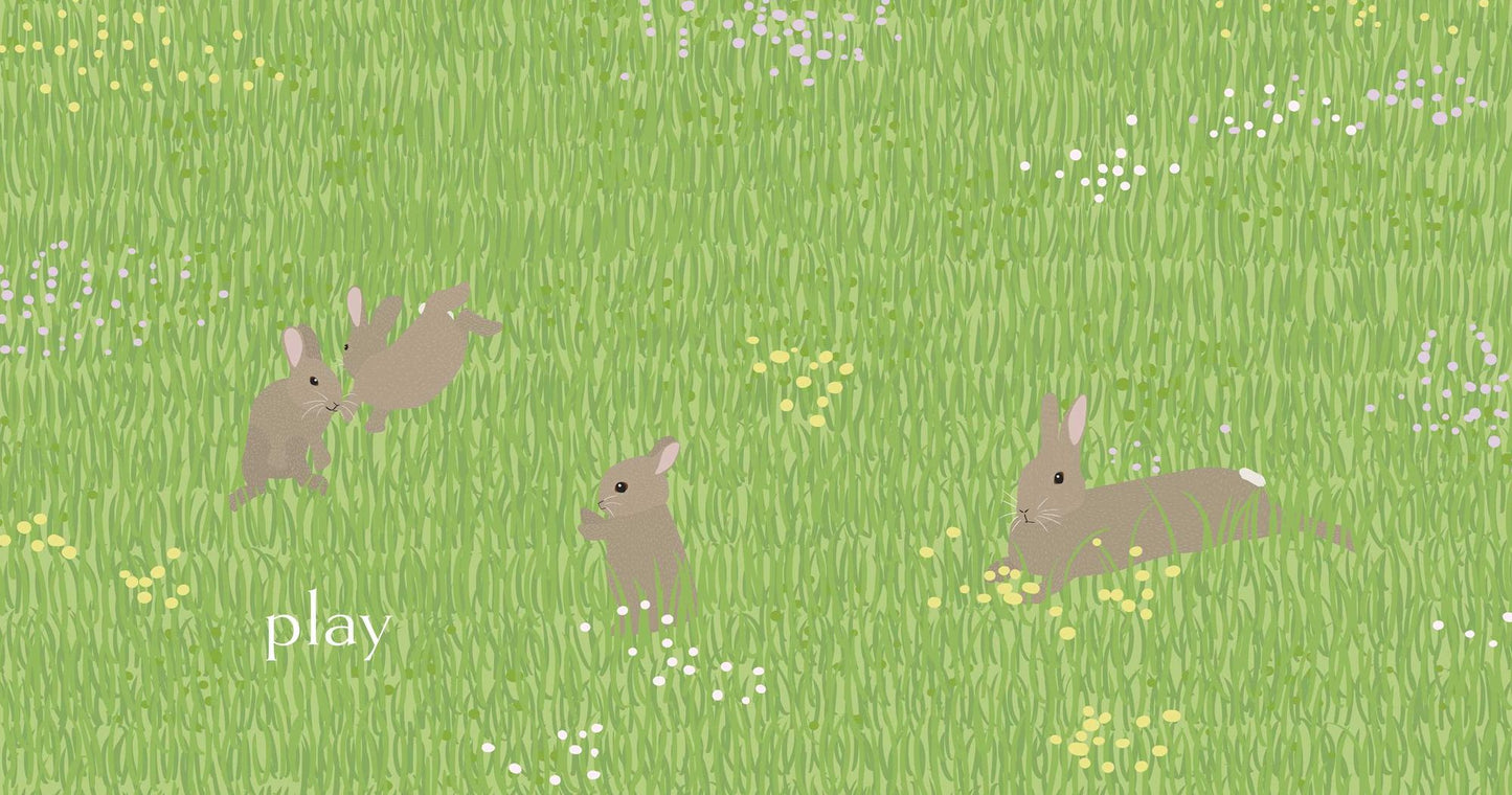 Hop