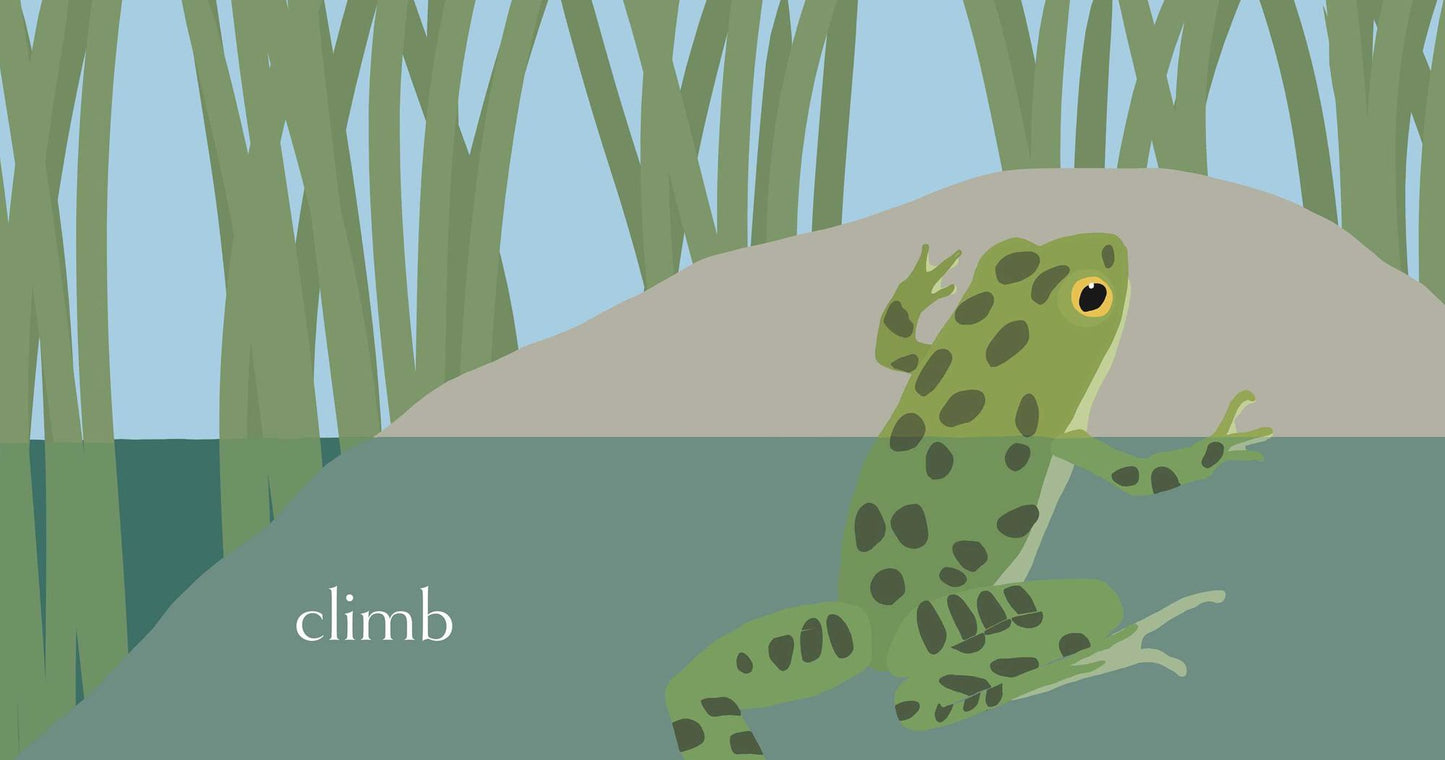 Ribbit